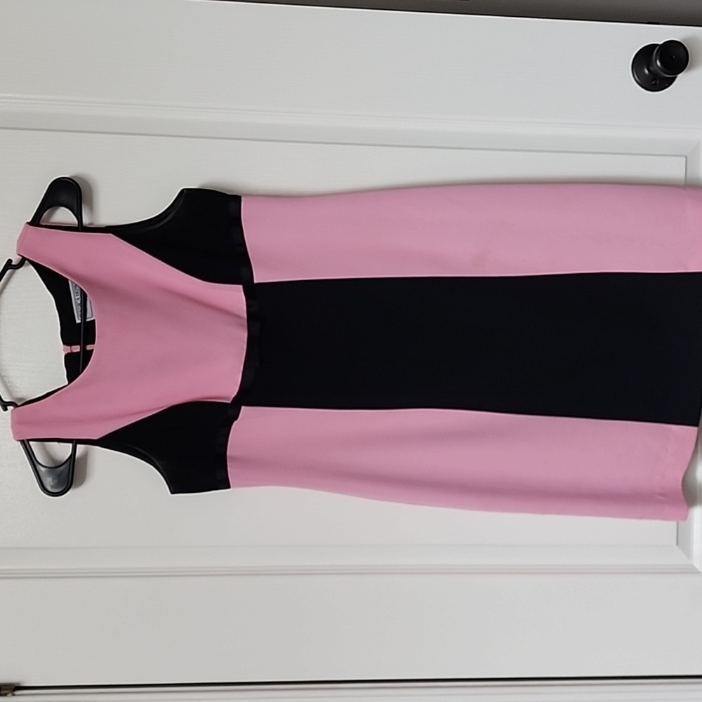 Jessica Howard Pink and Black Dress